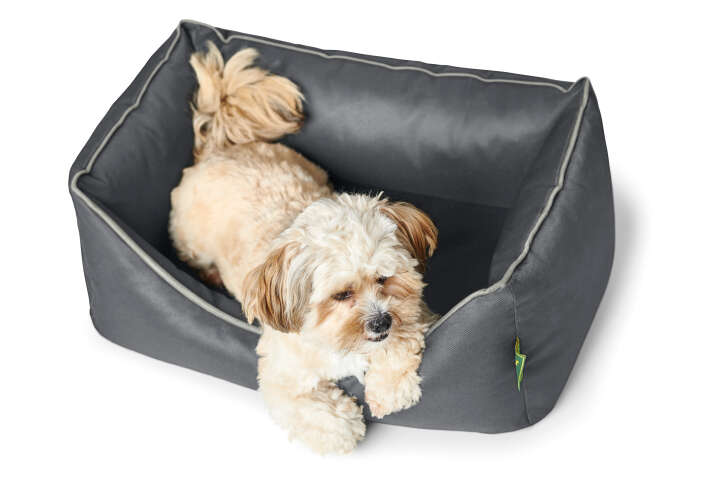 HUNTER Orthopädisches Hunde-Sofa Cleveland